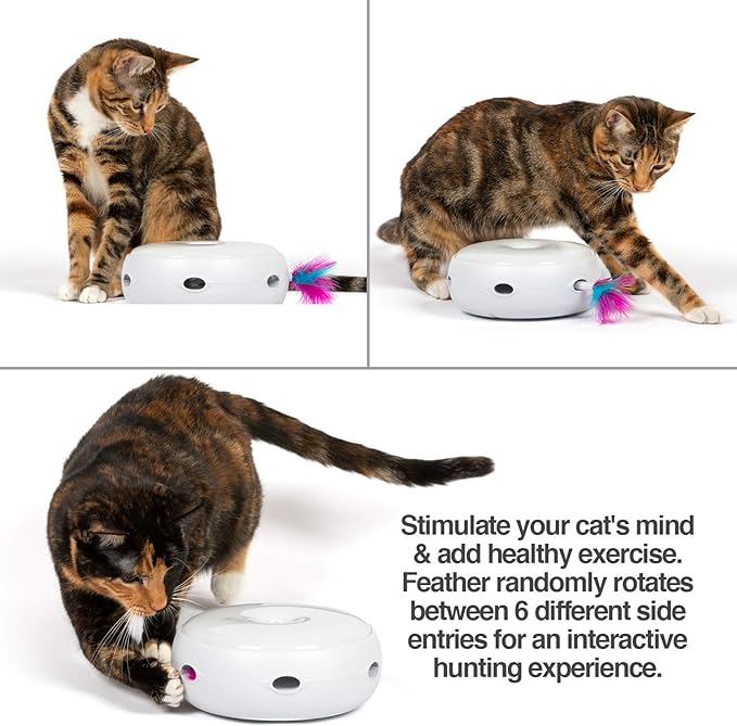 PetFusion Ambush Interactive Electronic CAT Toy - Image 3