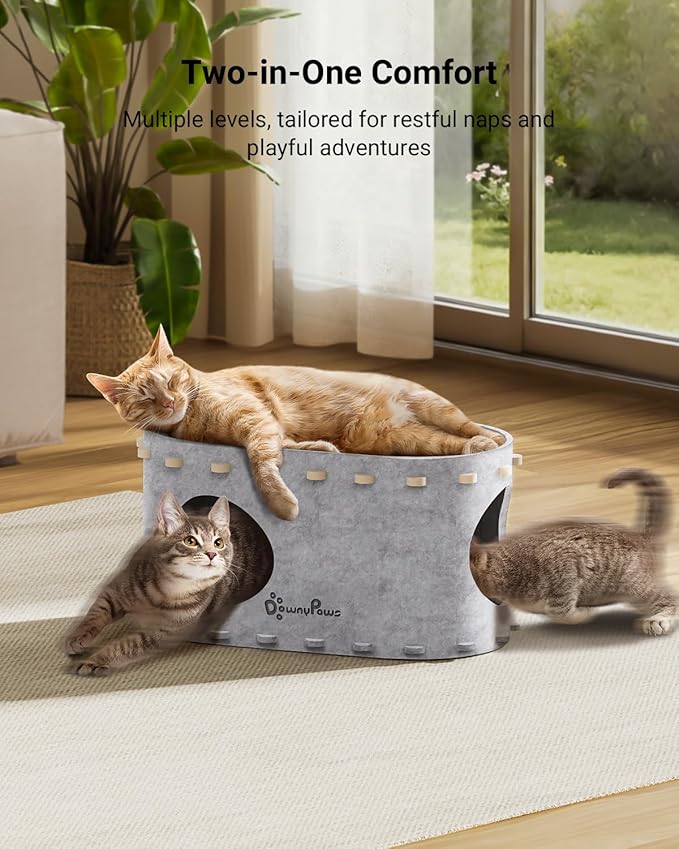 DownyPaws Cat House for Indoor Cats, Cat Bed Cave for Multiple & Large Cats Up - Image 2