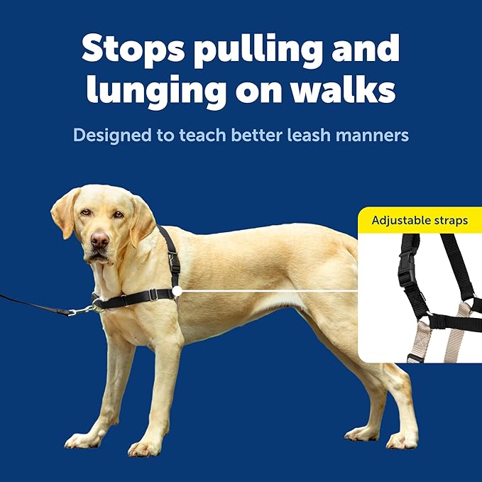 PetSafe Easy Walk No-Pull Dog Harness - Image 4