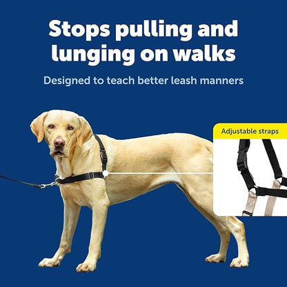 PetSafe Easy Walk No-Pull Dog Harness - Image 4