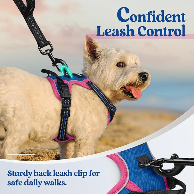 rabbitgoo Dog Harness No Pull - Image 6