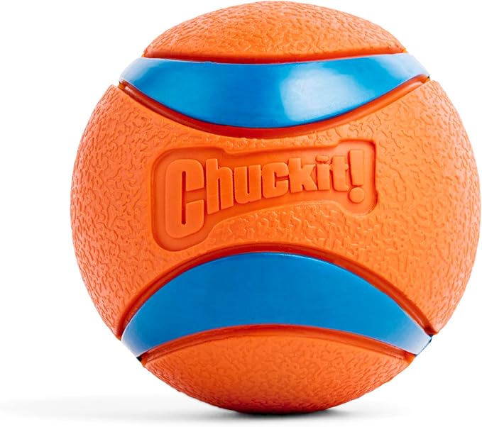 Chuckit! Ultra Ball Dog Toy by Chuckit