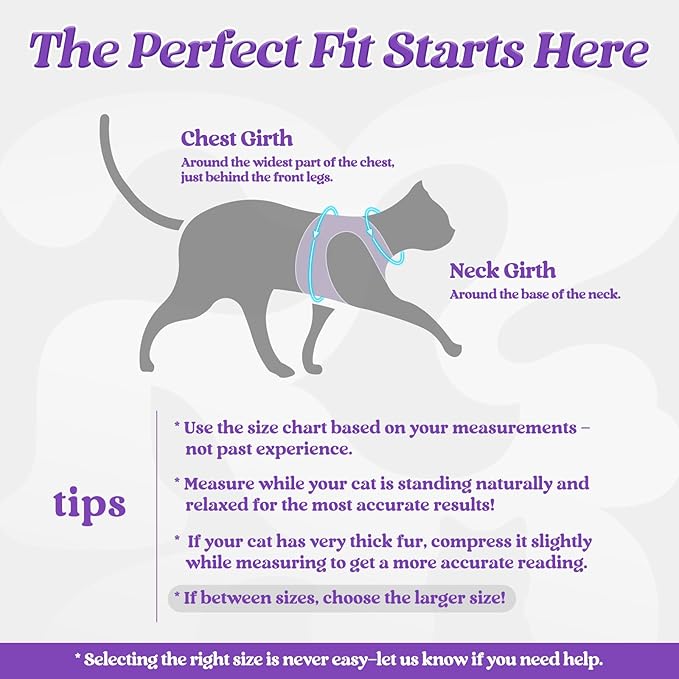 rabbitgoo Cat Harness and Leash, Step-in Escape Proof Kitten Harness Set - Image 2