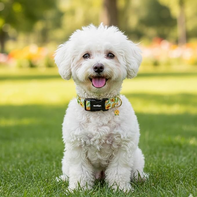Dog Collar for Extra Small Dogs, Spring &Summer Theme Dog Collars - Image 7