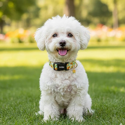 Dog Collar for Extra Small Dogs, Spring &Summer Theme Dog Collars - Image 7