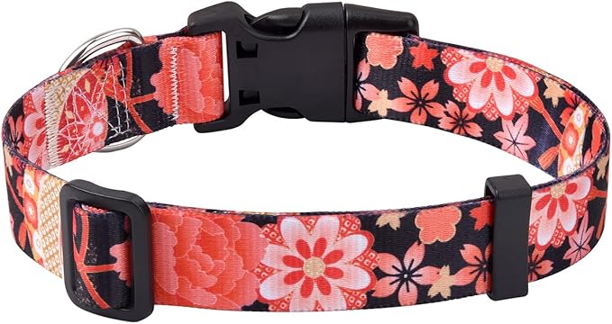Mihqy Dog Collar with Bohemia Floral Tribal Geometric Patterns by Mihqy