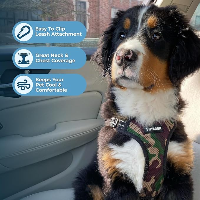 Best Pet Supplies Voyager Adjustable Step-in Flex Breathable Mesh Dog Harness - Image 6