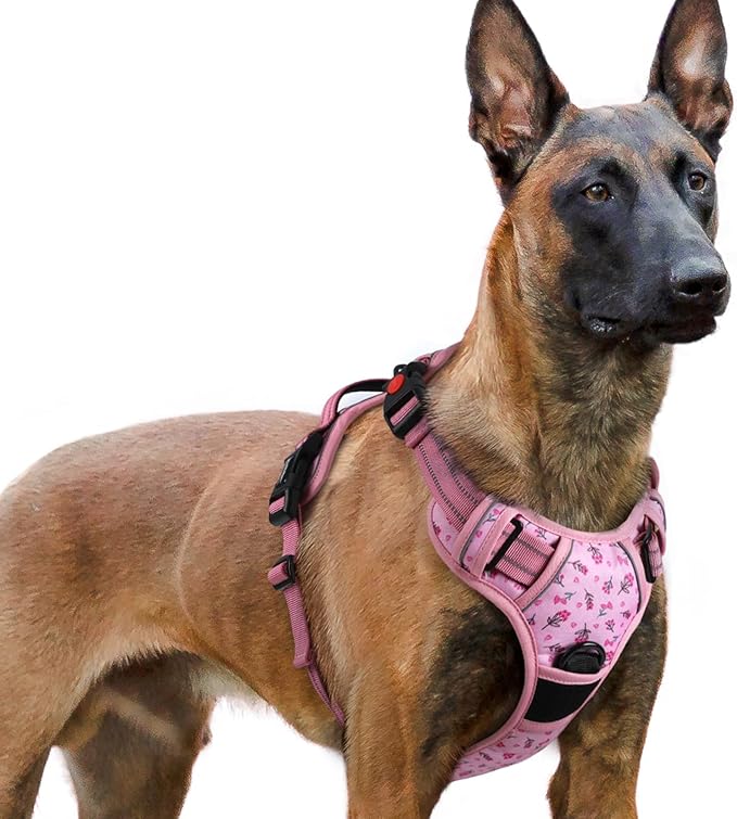 rabbitgoo Dog Harness for Large, No Pull Easy On & Off by rabbitgoo
