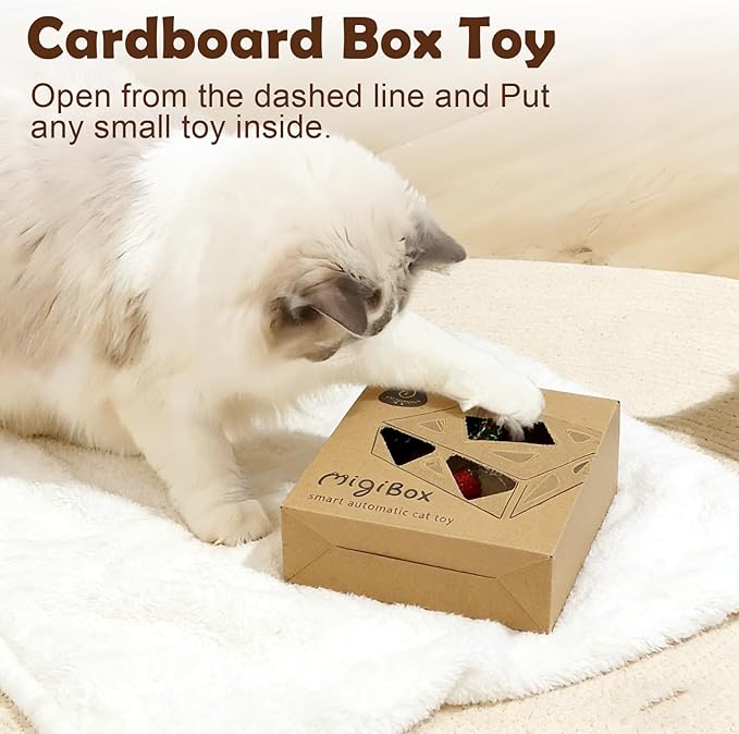 Interactive Cat Toys -Migibox for Indoor Bored Cats, Automatic Pop Out Feathers - Image 4