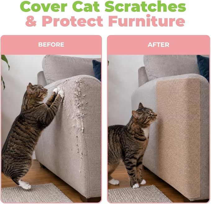 Best Pet Supplies Catify Cat Scratcher, Fun Interactive Scratchers, Claw Safe - Image 6