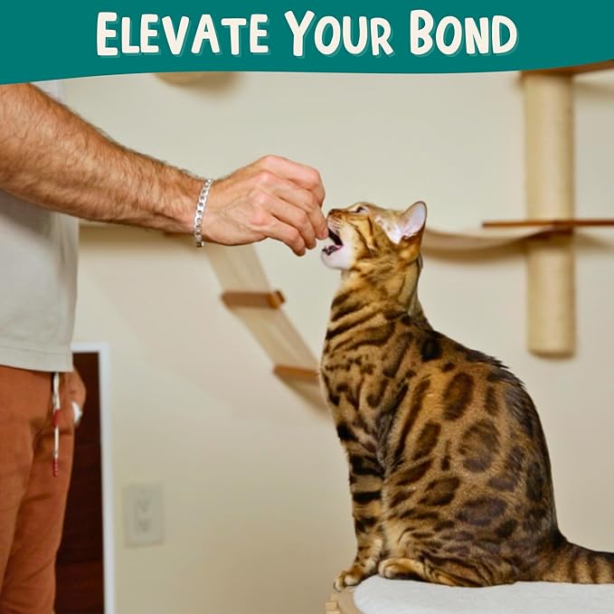 ALBERT & MIA Cat Training Kit - Image 4