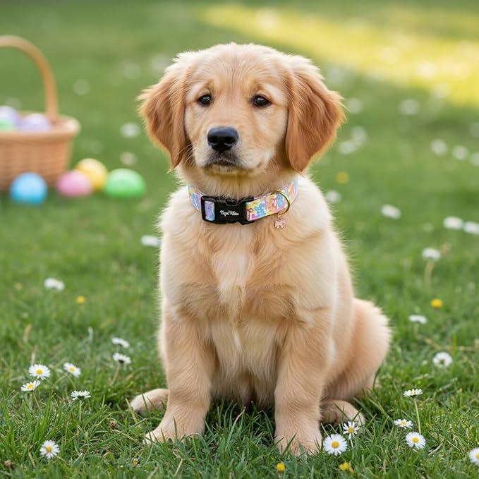 Easter Dog Collar with Cute Bunny & Bow Patterns, Medium Dog Collar with - Image 7