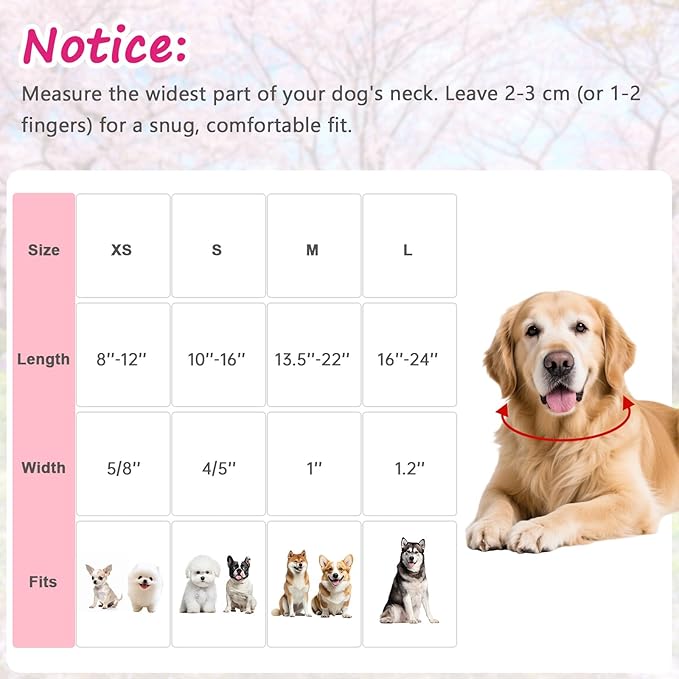 Adjustable Girl Dog Collars - Image 7