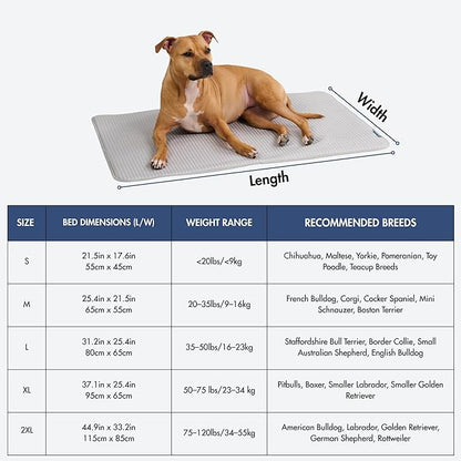 Spark Paws Cooling Mat for Dogs - Image 5