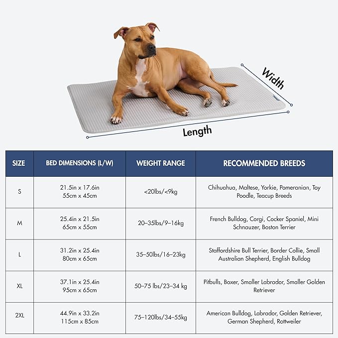 Spark Paws Cooling Mat for Dogs - Image 5