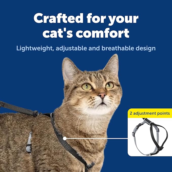 PetSafe Come with Me Kitty Harness and Bungee Leash Adjustable, Lightweight - Image 5