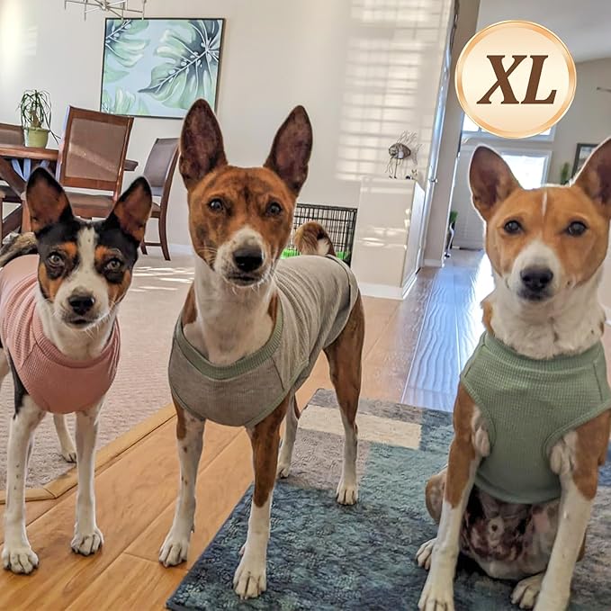 KYEESE 2Pack Dog Shirts Waffle for Small Dogs Stretchy Dog T-Shirts Lightweight - Image 3