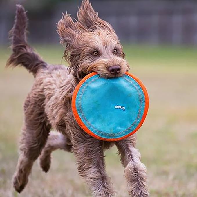 Chuckit! Paraflight Flying Disc Dog Toy - Image 12