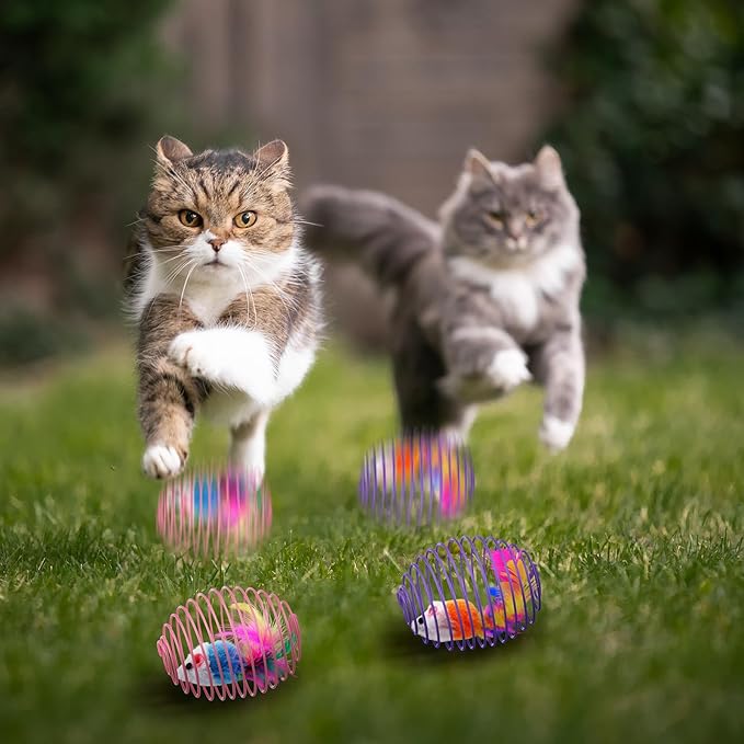 Jecery 5 Pcs Cat Spring Balls Toys Stretchable Rolling Balls Colorful Playful - Image 6