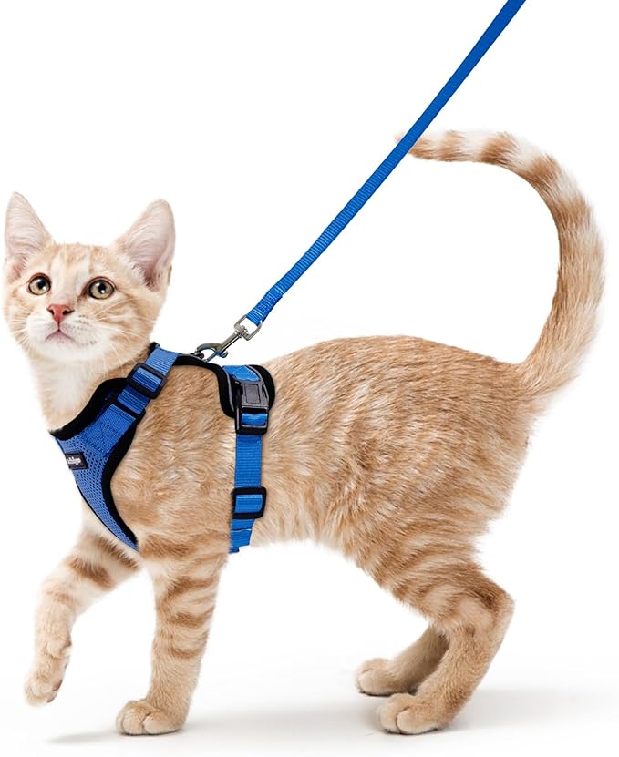 rabbitgoo Cat Harness and Leash Set, Escape Proof Vest Harness by rabbitgoo