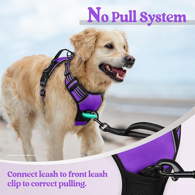 rabbitgoo Dog Harness, No-Pull Pet Harness - Image 5