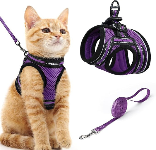 rabbitgoo Cat Harness and Leash, Step-in Escape Proof Kitten Harness Set by rabbitgoo