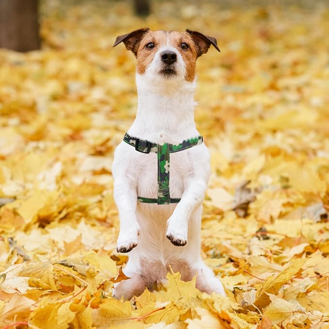 PUPTECK No Pull Dog Harness Soft Adjustable Basic Nylon Step in Puppy Vest - Image 5