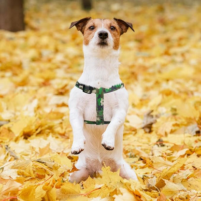 PUPTECK No Pull Dog Harness Soft Adjustable Basic Nylon Step in Puppy Vest - Image 5