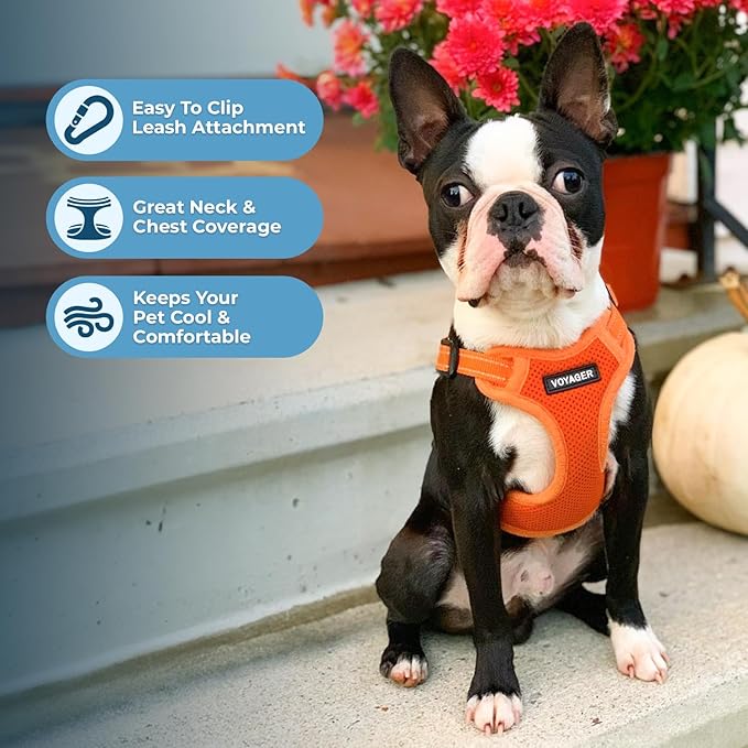 Best Pet Supplies Voyager Adjustable Step-in Flex Breathable Mesh Dog Harness - Image 5