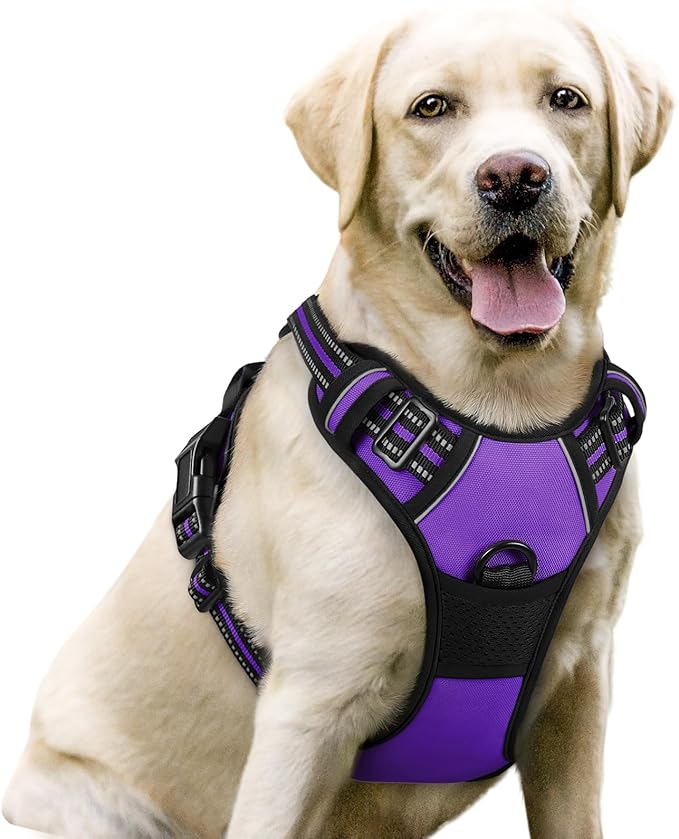 rabbitgoo Dog Harness, No-Pull Pet Harness by rabbitgoo