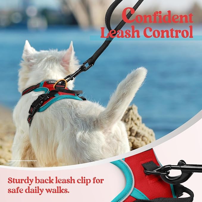 rabbitgoo Dog Harness No Pull - Image 6