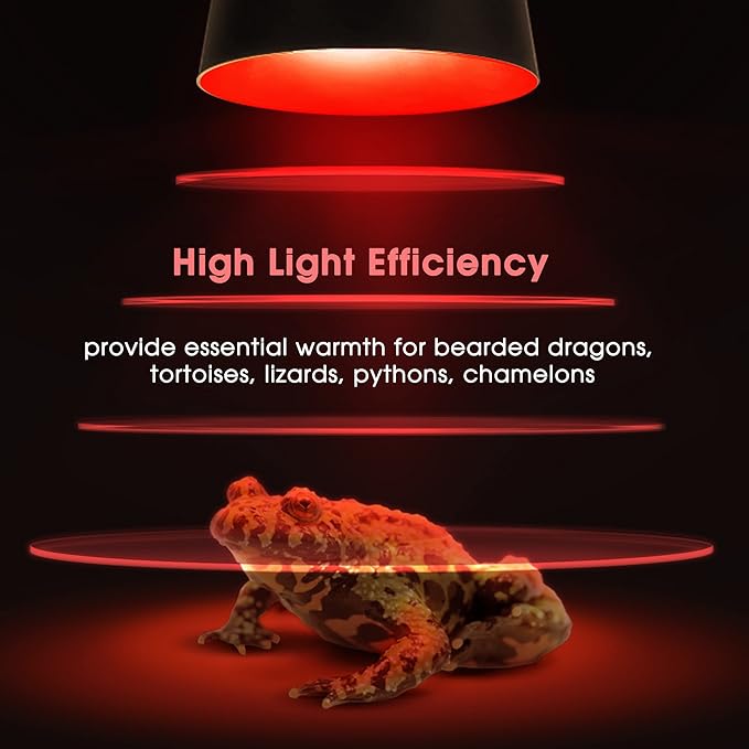 Briignite Reptile Heat Lamp Red, 50W G9 Heat Bulb & Dome Reptile Light Fixture - Image 6