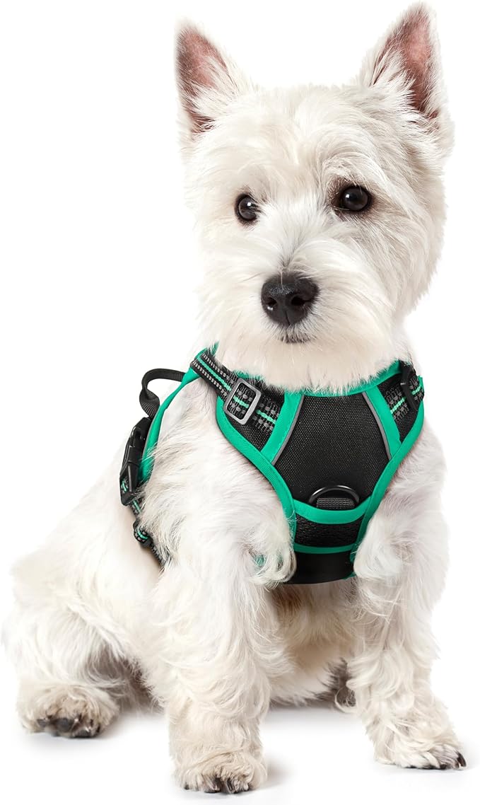 rabbitgoo Dog Harness No Pull by rabbitgoo