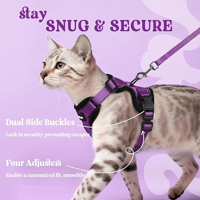 rabbitgoo Cat Harness and Leash - Image 6