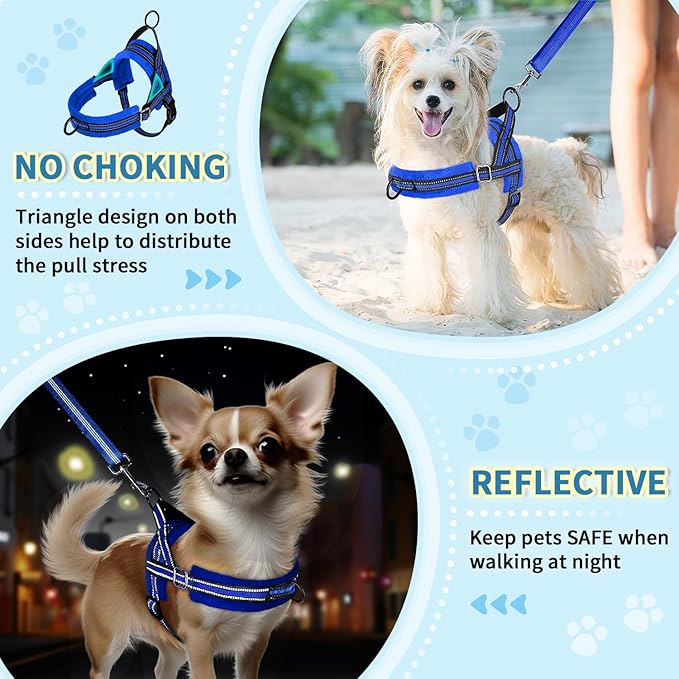 Lukovee No Pull Dog Harness and Leash Set, Soft Padded Small Dog Harness - Image 6