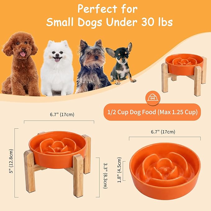 Elevated Slow Feeder Dog Bowl - Image 2