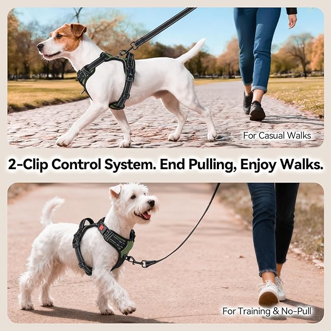 PHOEPET No Pull Dog Harness - Image 4