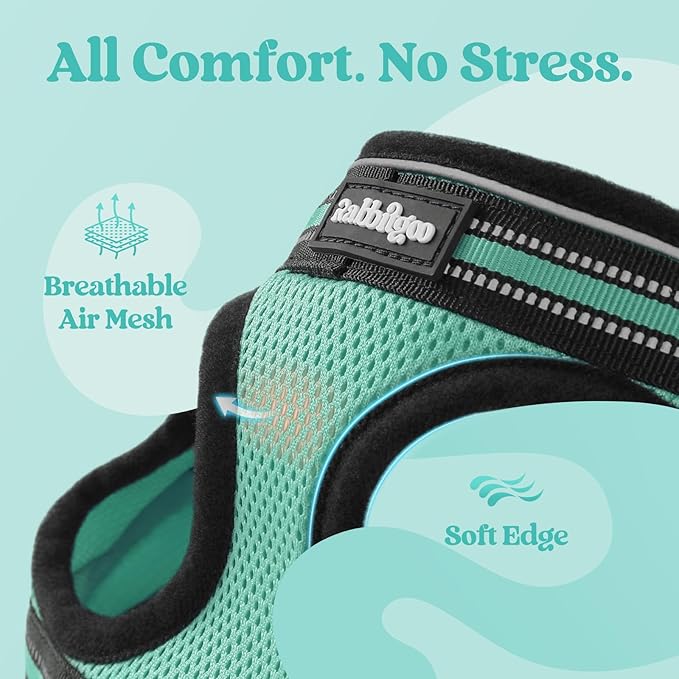 rabbitgoo Cat Harness and Leash, Step-in Escape Proof Kitten Harness Set - Image 7