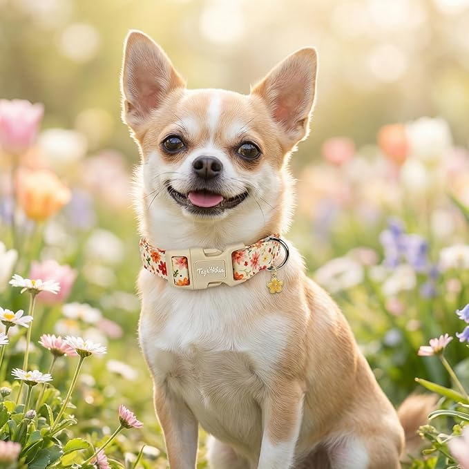 Dog Collar with Pink Floral Patterns, Spring Summer Collection Dog Collar with - Image 7