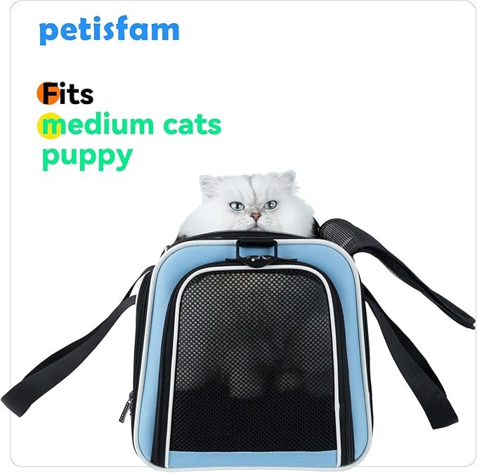 Cats Voluntarily Enter Carrier. Stress-Free Vet Visit, Veterinarian-Approved - Image 6