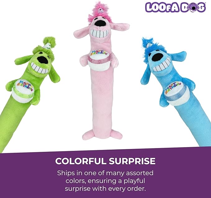 Multipet Loofa Dog Plush Toy w/ Birthday Hat - Image 4