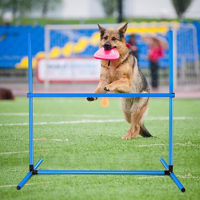 Shappy 4 Pieces Dog Agility Equipment - Image 5
