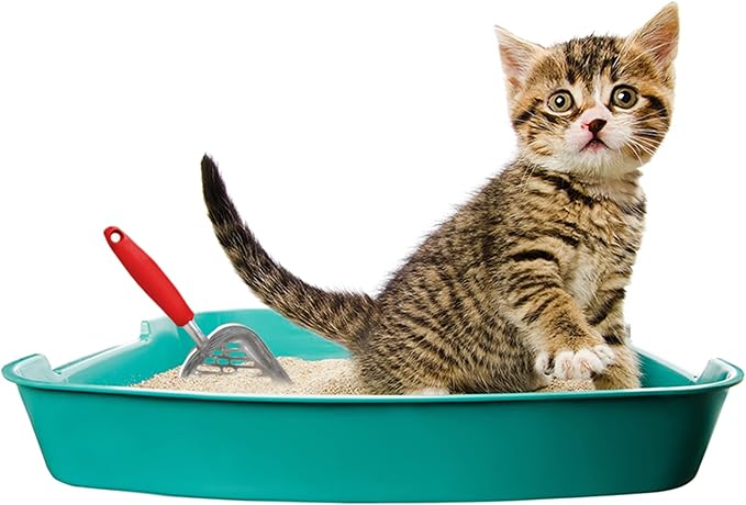 SunGrow Large Cat Litter Scoop, Life Transforming Cat Scooper, Use - Image 2