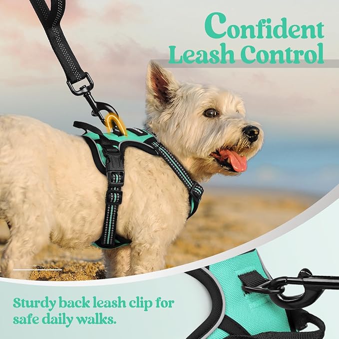 rabbitgoo Dog Harness No Pull - Image 6