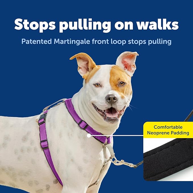 PetSafe 3 in 1 No-Pull Dog Harness - Image 3