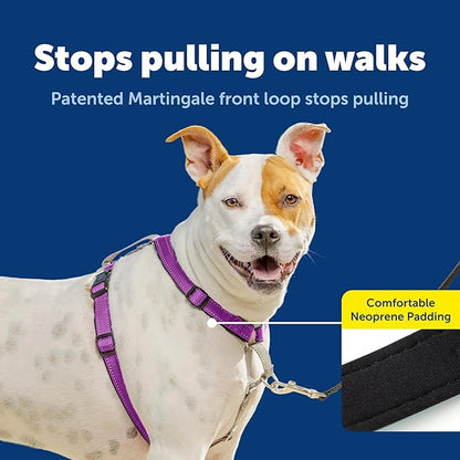 PetSafe 3 in 1 No-Pull Dog Harness - Image 3