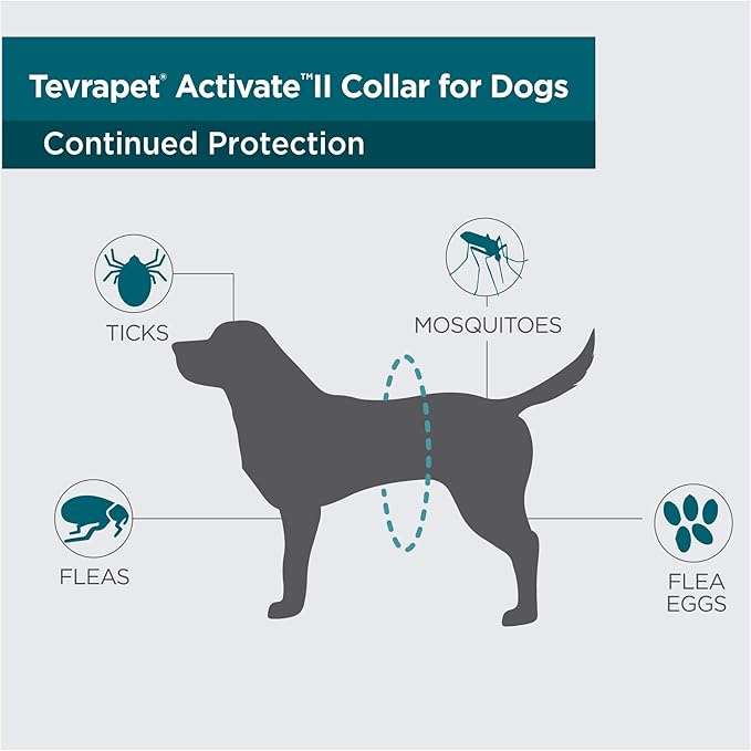TevraPet Activate II Flea and Tick Collar - Image 4