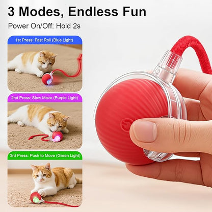 Smart Interactive Automatic Electric Rolling Moving Rechargeable Motion - Image 3