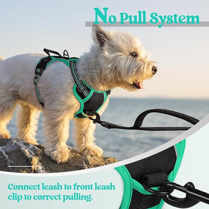 rabbitgoo Dog Harness No Pull - Image 5