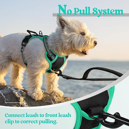 rabbitgoo Dog Harness No Pull - Image 5